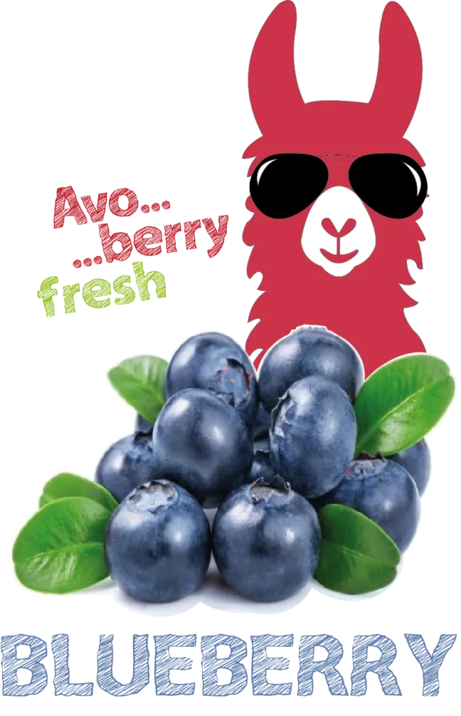 Avoberryfresh Entrada Blueberry