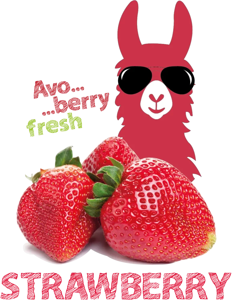 Avoberryfresh Entrada Strawberry